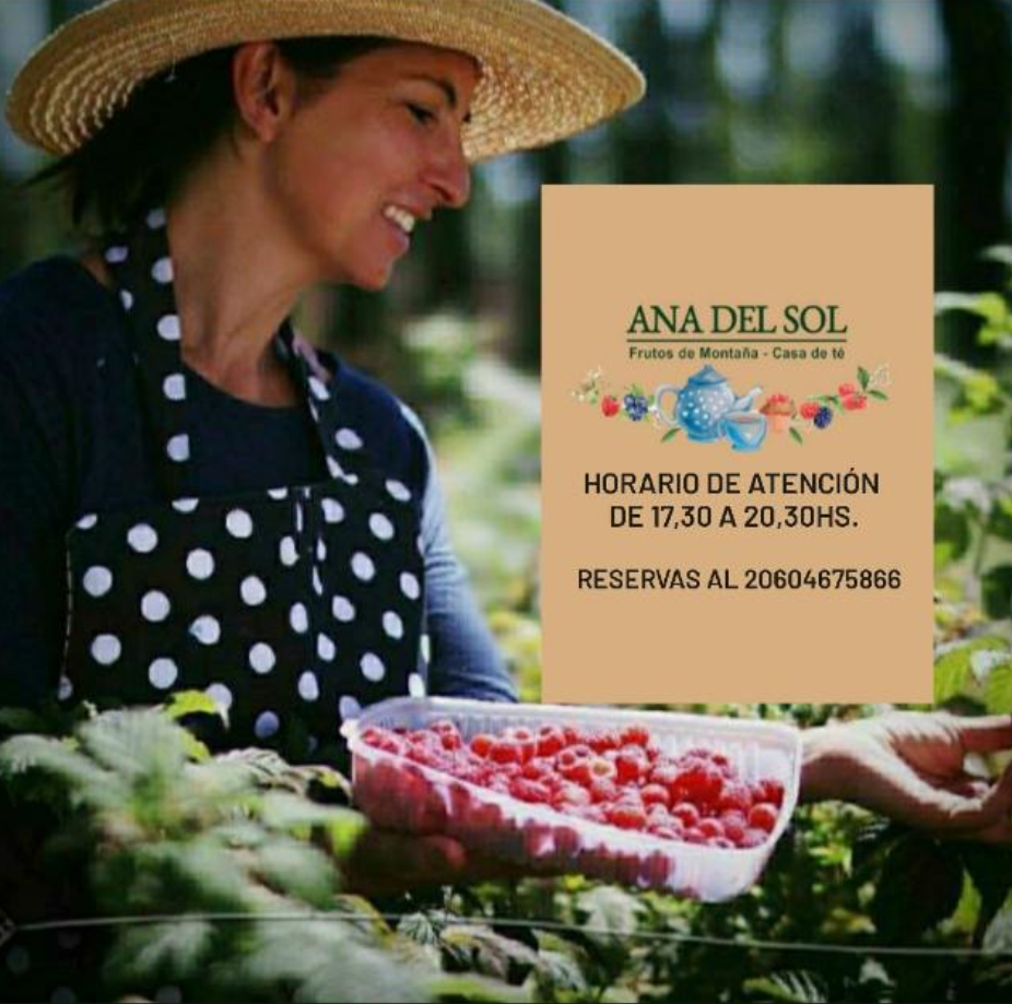 Logo de Ana del Sol — Frutos de Montaña, Casa de Té